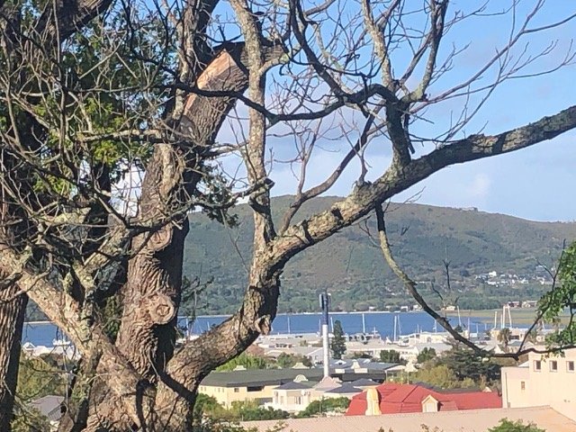 2 Bedroom Property for Sale in Knysna Central Western Cape